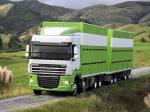 DAF XF105 8x4 FAD Space Cab 2006 года (AU)
